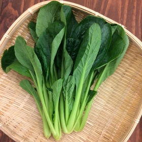 ヤマギシの野菜　三重県産小松菜